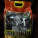 도그매니아 이미지