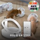 내친구고양이 | 자동급식기 슈어피드 써보니 다묘가정 고양이인식 내밥이야 리얼후기