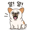 보나투게더 이미지