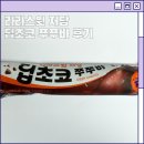 라라스윗 저당 초코 쭈쭈바 솔직 후기(에리스리톨 논란까지 정리)