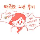 대호태권도 | 성인 태권도 2년 후기 - 계단식 성장과 경험의 확장