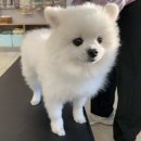 수호동물병원 이미지