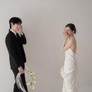 볼라르