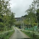 더그레이 The Gray 이미지