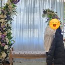 와이누리봄 | 천안 누리봄 주간활동센터 송년파티진행!