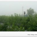 미르농장 이미지