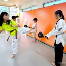 서산최강태권도 이미지