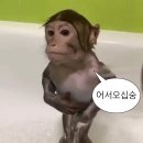 쨈스터