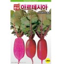 샐러립 이미지
