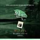 소로3-100 이미지