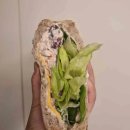 (유)상무1호 이미지