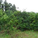 삼달보건진료소 이미지