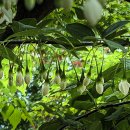 강원도립화목원 이미지