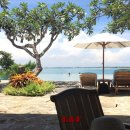 한류 행정사사무소 이미지