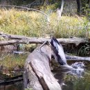 순플레이스 이미지