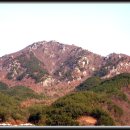 송단목장 이미지