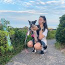 구몰니인사리 이미지