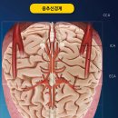 이구현한의원 네이버블로그
