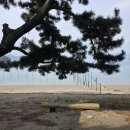 상촌마을회관 이미지