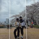 유달미술관 | 2026년 목포유달산 봄축제 느림봄 걷기행사 후기