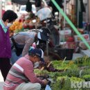 기린전통시장 이미지