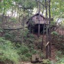 트리하우스 이미지