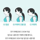 코쿠너