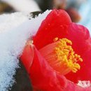 사랑365약국 이미지