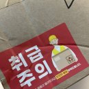 [PLPL] 피엘피엘_ 반려 식물 입양하세요 :) 집들이 선물 강추!