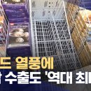 푸드김&밥