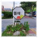 목포낙지 네이버블로그