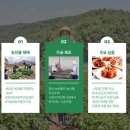 법인파머스