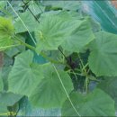 원호농장 이미지