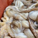 신안홍어 이미지