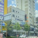 고양이호텔 윤집사 이미지