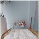 개 최고 | 애견미용 부산 남구에서 만난 최고의 힐링 공간, 마당개 후기