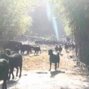 초방리농장 이미지