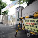 강동초등학교 이미지