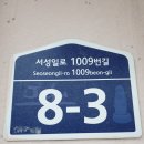 귤밭민박 이미지