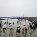 권중섭 | 화성특례시, 3월 1일부터 시티투어 ‘하루’ 착한여행 본격 운영···온천 코스 신설