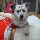 화동초등학교 앞 이미지