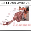 트레이닝론 이미지