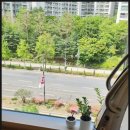 여리한 다이어트(잠실새내역점) | 참 어렵다싶은 갱년기 다이어트 여리한다이어트 잠실새내역점에서