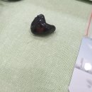 포낙보청기 김포센터 이미지