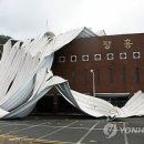 관산체육관 Daum카페