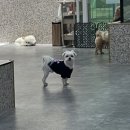 앙쥬레브 부천점 네이버블로그