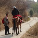 곤명+차마고도, 만봉림 9일/노팁,노쇼핑,노옵션, 2.25,(수)~3.5,(목) 신청하세요 이미지