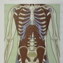 글로벌시스템 이미지