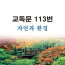 자연과환경 티스토리