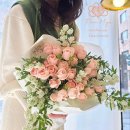 후리지아 이미지